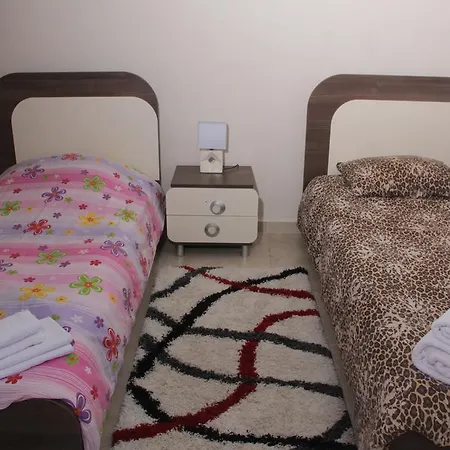 Bektas 2 فيلة ألانيا
